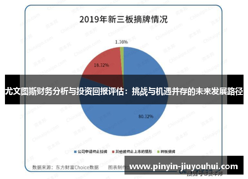 尤文图斯财务分析与投资回报评估：挑战与机遇并存的未来发展路径